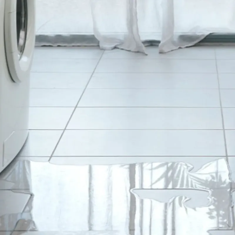 Appliance Leak Cleanup in Lake City, MI