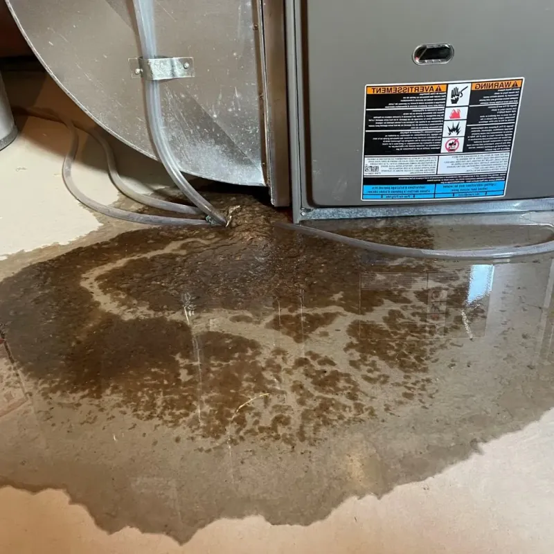 Pipe Burst and Leak Restoration in Lake City, MI
