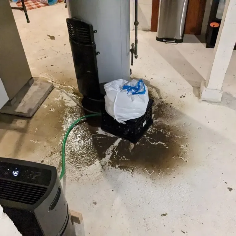 Sewage Backup Cleanup Service in Lake City, MI